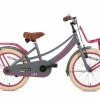 VÉLO ENFANT SUPERSUPER LOLA - FILLES - 18 POUCES - GRIS / ROSE -VÉLOS VTT Soldes velo enfant supersuper lola filles 18 pouces gris rose 1 600x435 1
