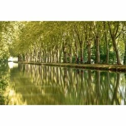 VÉLO TOUT CHEMIN RIVERSIDE 500 BLEU 38 VÉLO TOUT CHEMIN RIVERSIDE 500 BLEU -VÉLOS VTT Soldes velo tout chemin riverside 500 bleu 16 600x600 1